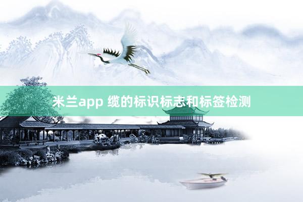 米兰app 缆的标识标志和标签检测