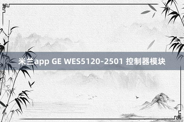 米兰app GE WES5120-2501 控制器模块
