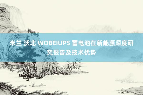 米兰 沃北 WOBEIUPS 蓄电池在新能源深度研究报告及技术优势