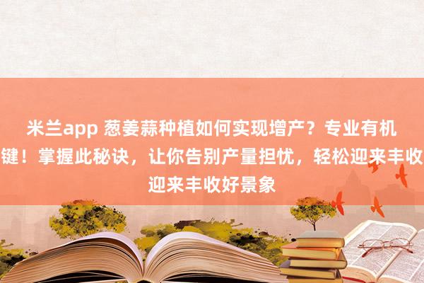 米兰app 葱姜蒜种植如何实现增产？专业有机肥是关键！掌握此秘诀，让你告别产量担忧，轻松迎来丰收好景象