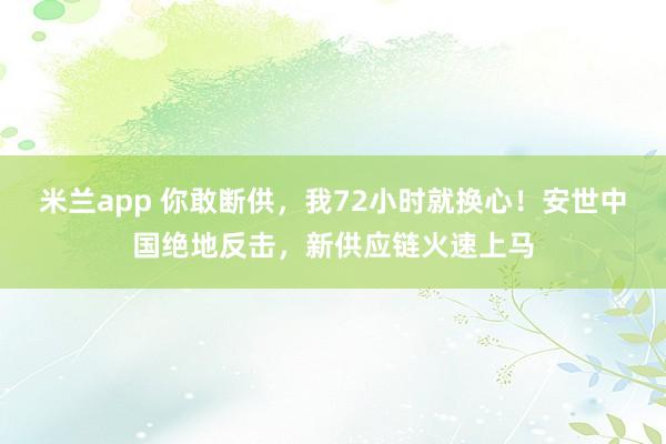 米兰app 你敢断供，我72小时就换心！安世中国绝地反击，新供应链火速上马
