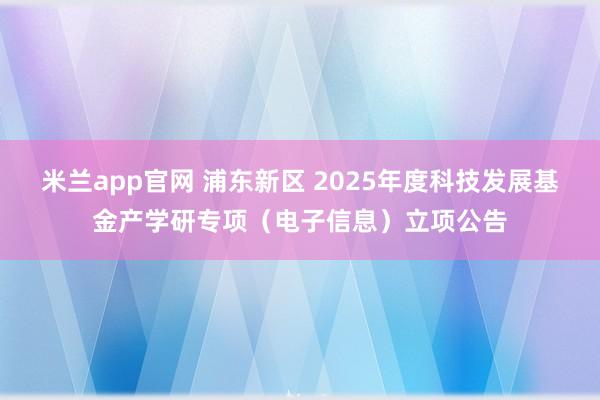 米兰app官网 浦东新区 2025年度科技发展基金产学研专项（电子信息）立项公告