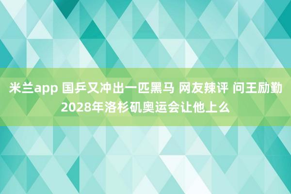 米兰app 国乒又冲出一匹黑马 网友辣评 问王励勤2028年洛杉矶奥运会让他上么