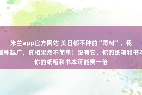 米兰app官方网站 美日都不种的“毒树”,我们当香饽饽越种越广,真相果然不简单!没有它,你的纸箱和书本可能贵一倍