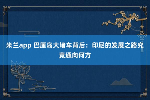 米兰app 巴厘岛大堵车背后：印尼的发展之路究竟通向何方