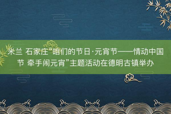 米兰 石家庄“咱们的节日·元宵节——情动中国节 牵手闹元宵”主题活动在德明古镇举办